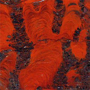 Stromatolithen aus Minnesota